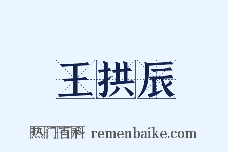 王拱辰是什么意思的图片